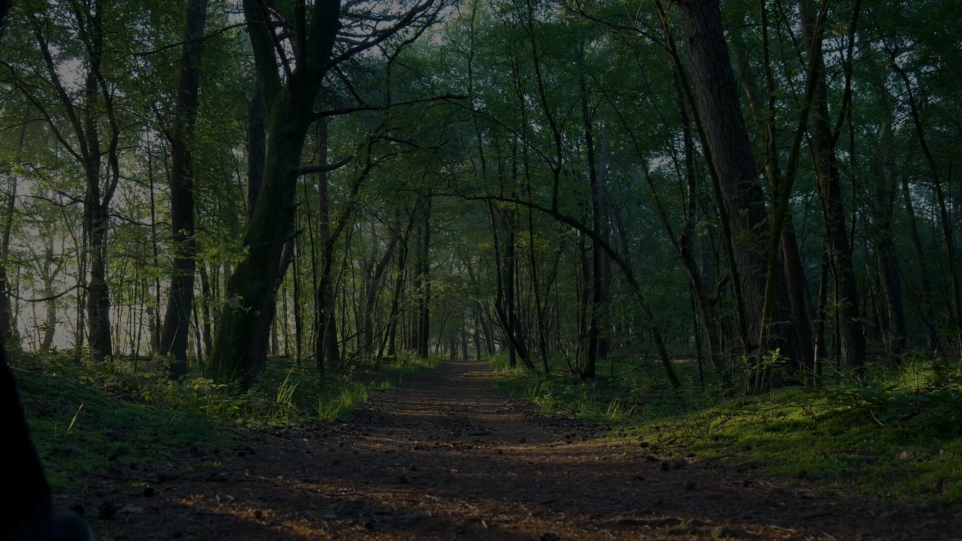 “Consultanță pensii în România”